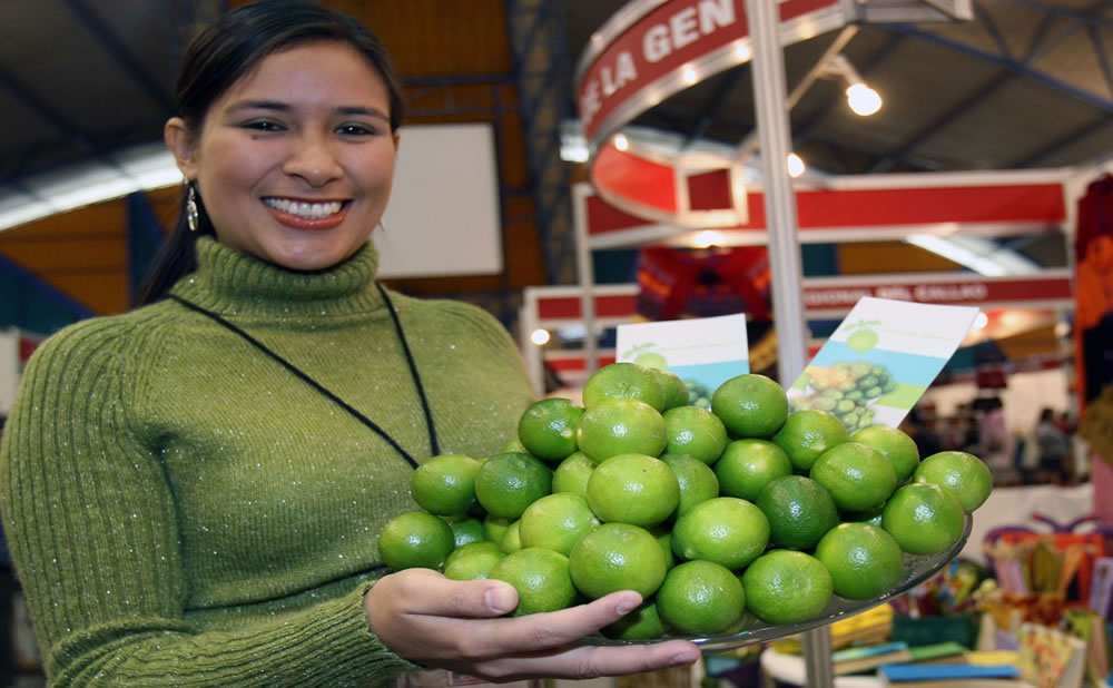 Festividad limon lambayeque