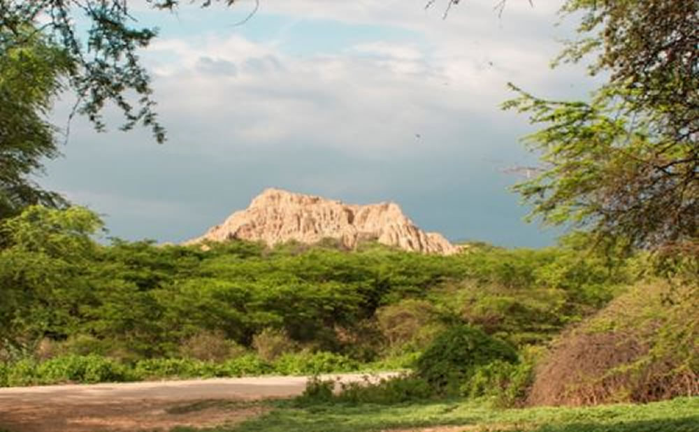 Viaje lambayeque santuario pomac